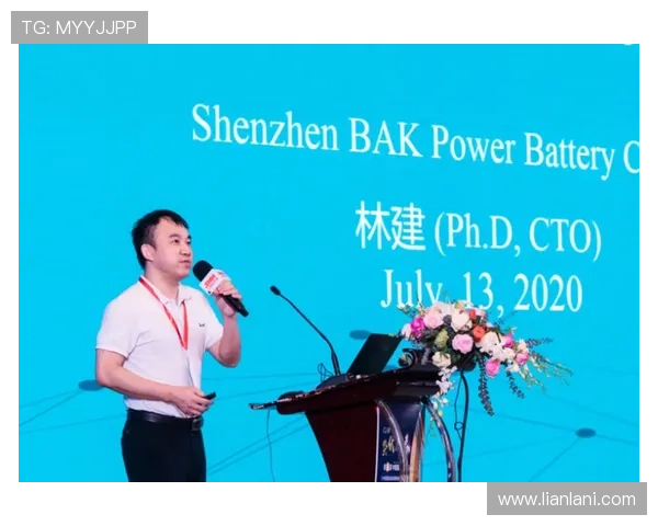 尊龙凯时公司最新动态与行业发展趋势全面解析